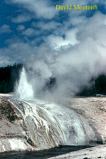 Geyser Study