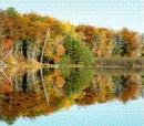 Fall Colors website
