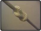 Knot